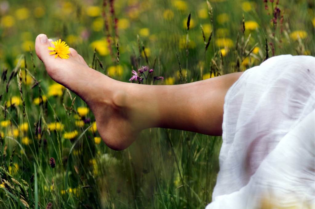 primavera