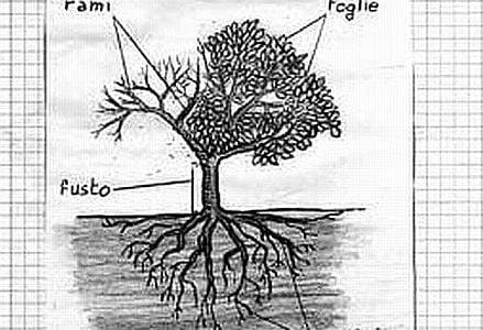40_SSc_Non-solo-scienze_Durigo_439x302