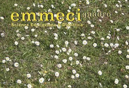 Copertina_44_primavera1_439x302_chiaro_logo