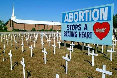 PROLIFE_R375