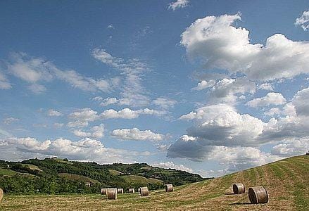 Speciani_39_00_identificare_439x302_ok