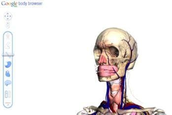 body-browser_r400