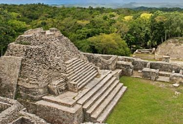 caracol-maya2-r375
