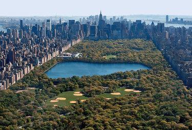 centralparkR375_15giu09