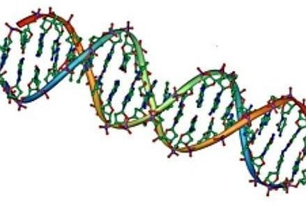 elica_dna_439x302_ok