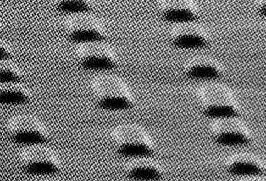 microscritturaR375_05feb09