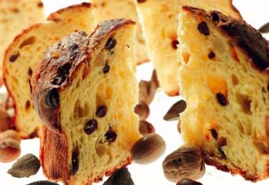 panettoner400