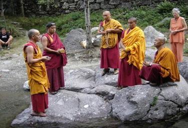 tibetani_R375