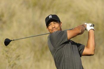 woods-tiger-r400
