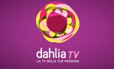 dahlia-r400
