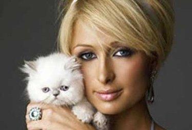 parishilton_R375