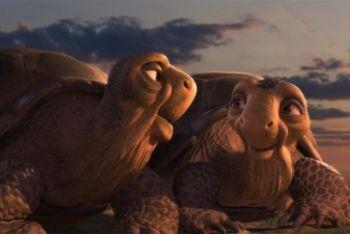 Animals_UnitedR400