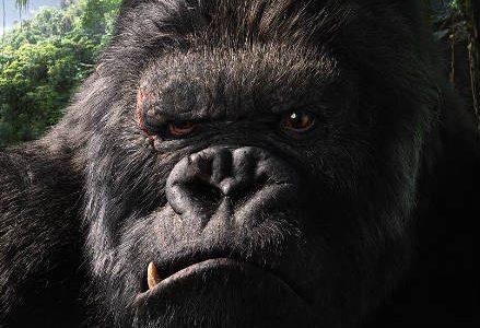 kingkong_r439