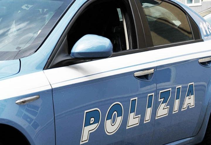 'ndrangheta domenico crea