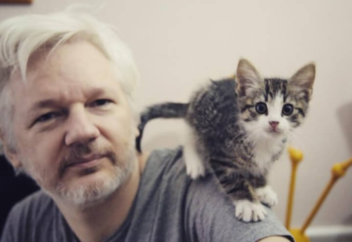 assange_wikileaks_gatto_ambasciata_ecudator_facebook_2018
