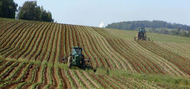 terreno agricoltura 2018 wikipedia 640x300