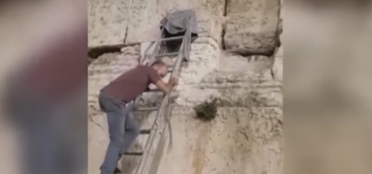 Serpente esce dal Muro del Pianto, Israele