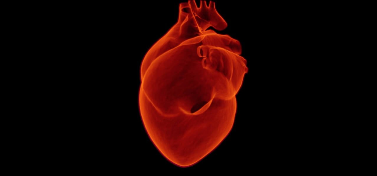 cuore 2018 pixabay