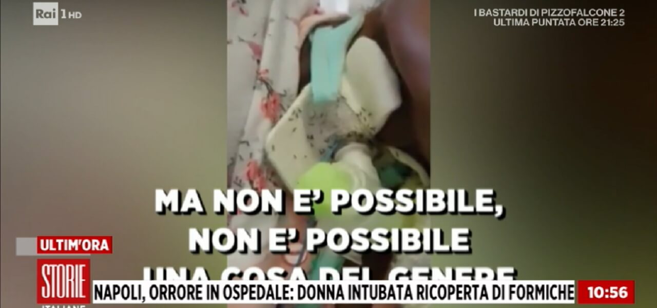 Ospedale San Giovanni Bosco, invasione di formiche (Storie Italiane)