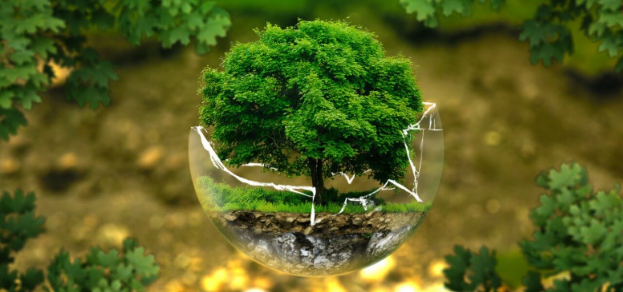 cambiamento climatico 2018 twitter