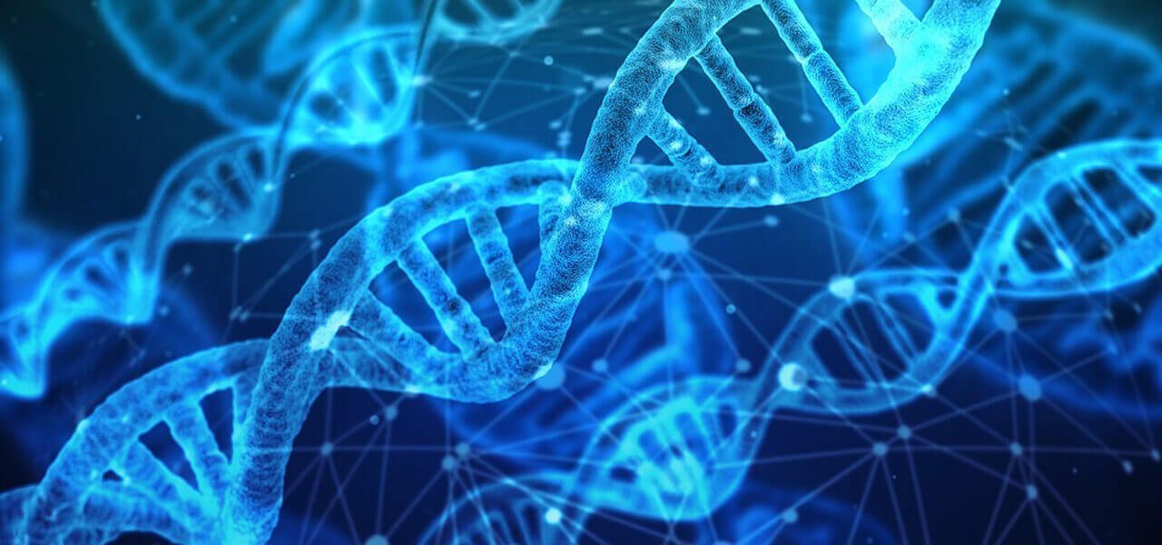 Primi esseri umani con Dna modificato
