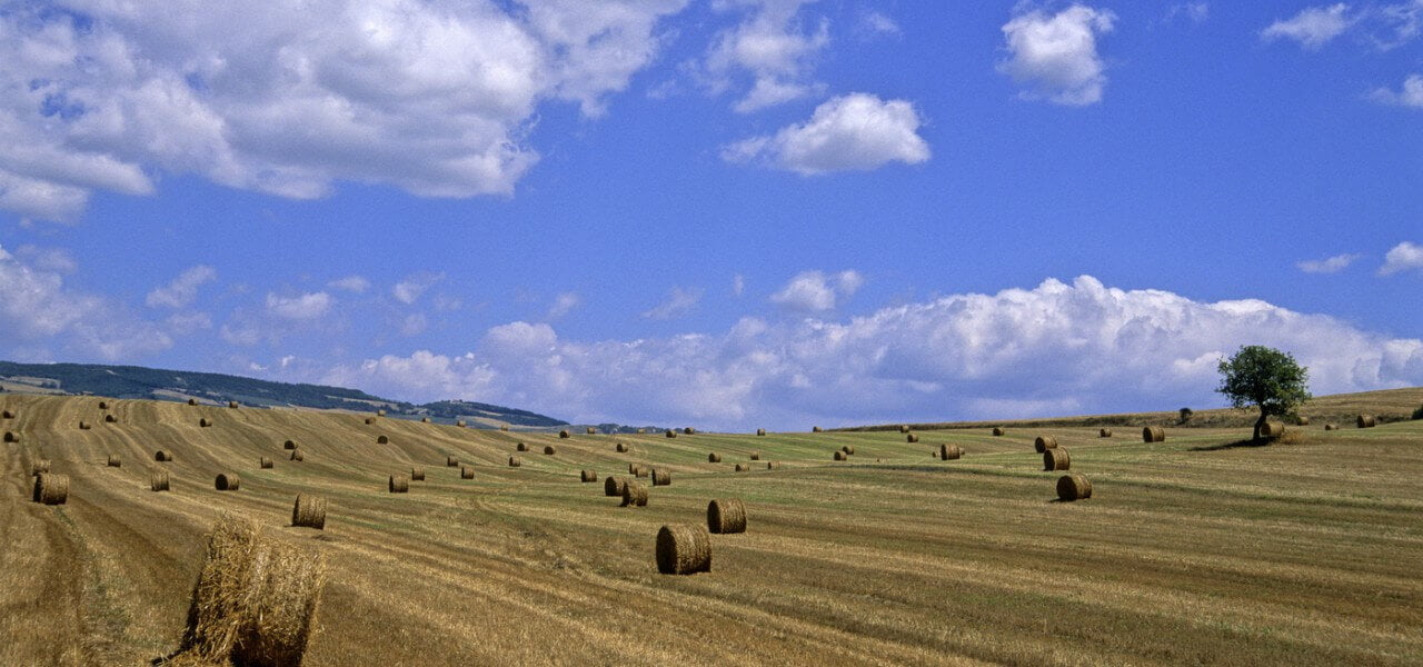 campo agricoltura paesaggio lapresse1280