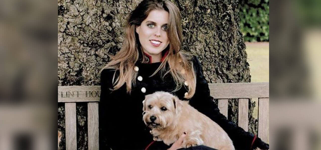 principessa Beatrice di York cane orange