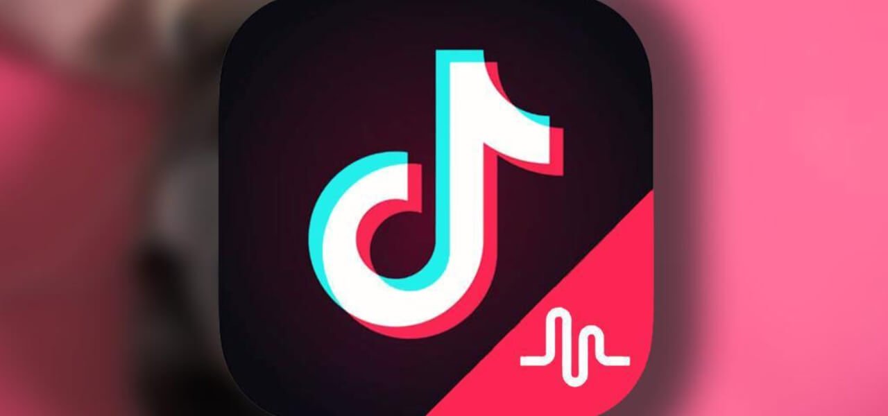 tiktok 2019 web