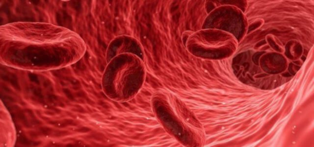 sangue 2019 web 640x300