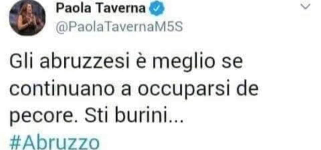 Tweet fake di Paola Taverna