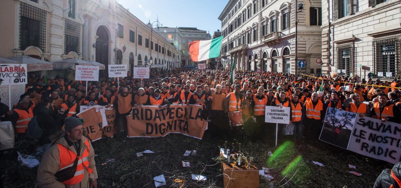 Gilet arancioni a Roma