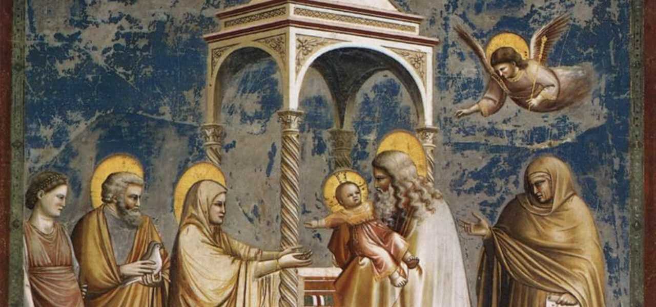 Presentazione di Gesù al Tempio, Giotto