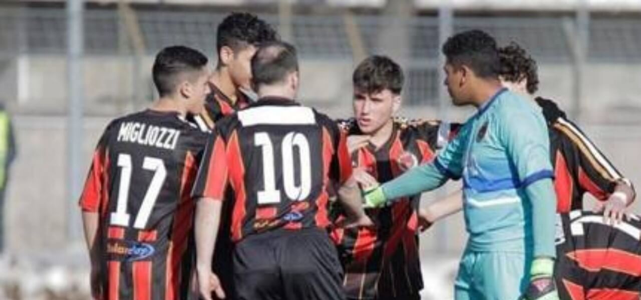 pro piacenza 2019 twitter