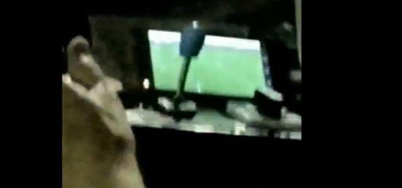 autista gtt partita napoli torino