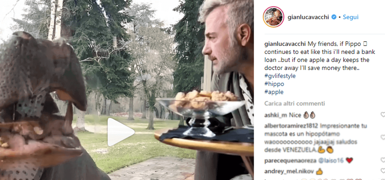 gianluca vacchi ippopotamo.png
