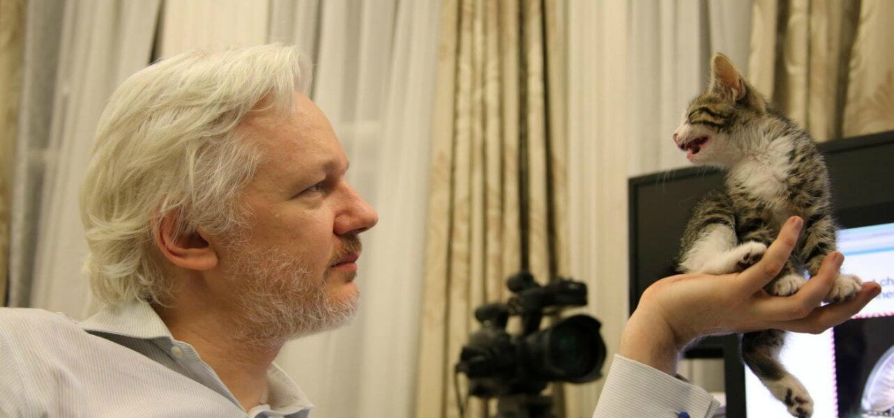 assange wikileaks 1 lapresse1280