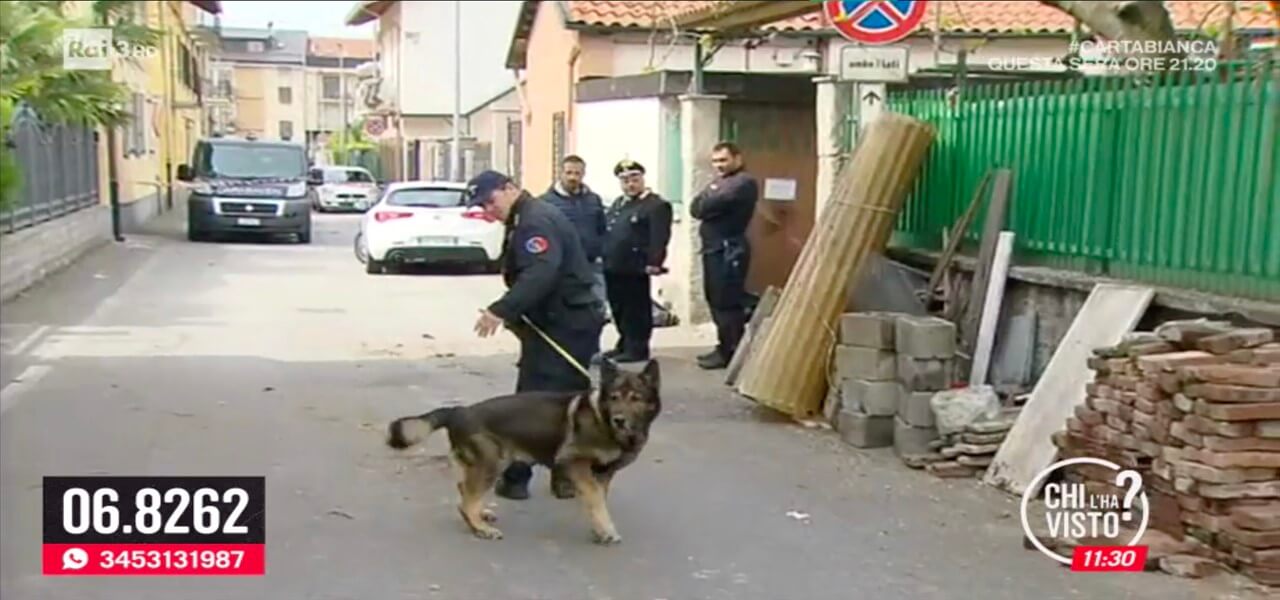 samira sbiaa cani molecolari chi lha visto