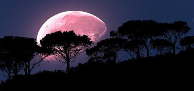 luna rosa pixabay 640x300