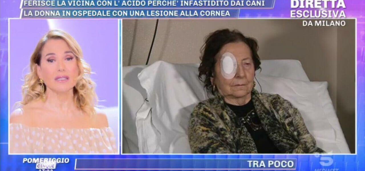 Lite tra vicini per i cani, donna aggredita