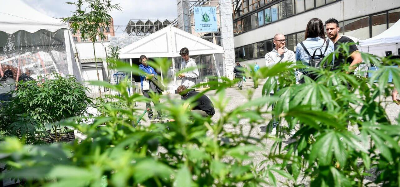 cannabis fiera milano lapresse1280