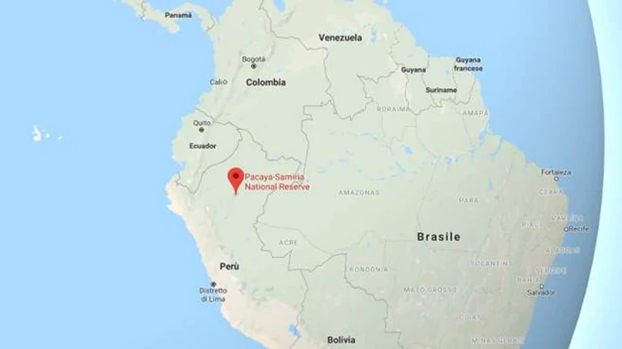 Terremoto Perù