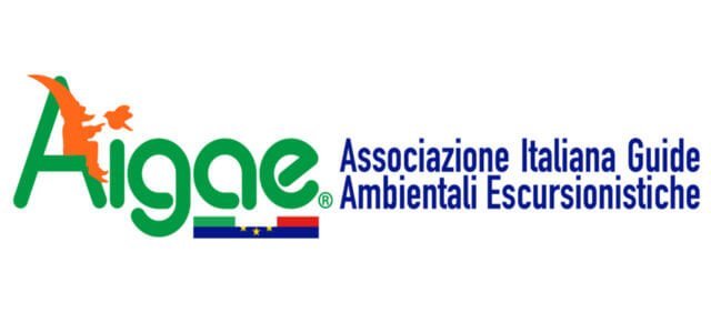 Aigae, il logo