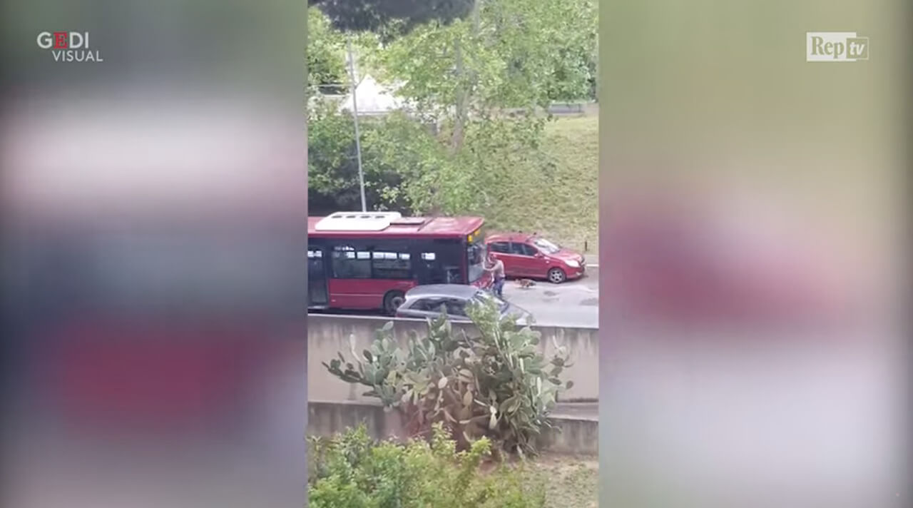 Atac, autista investe pedone