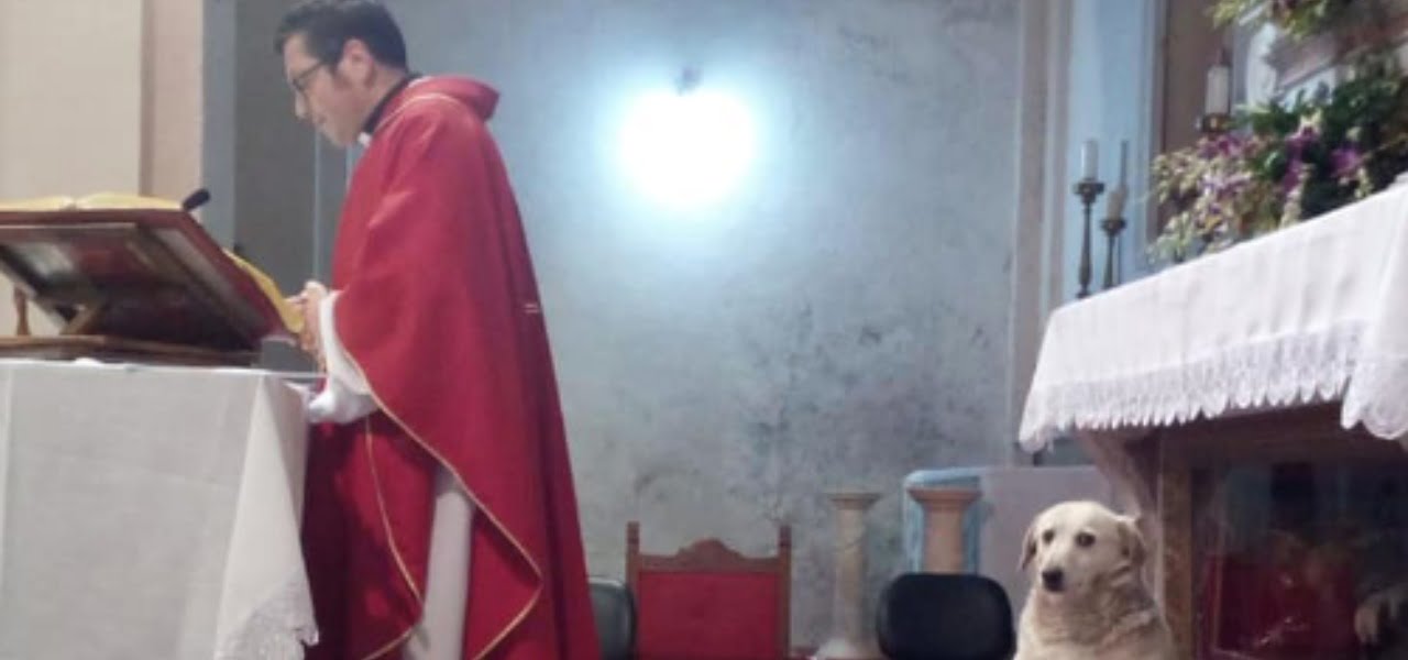 Cane e prete in chiesa