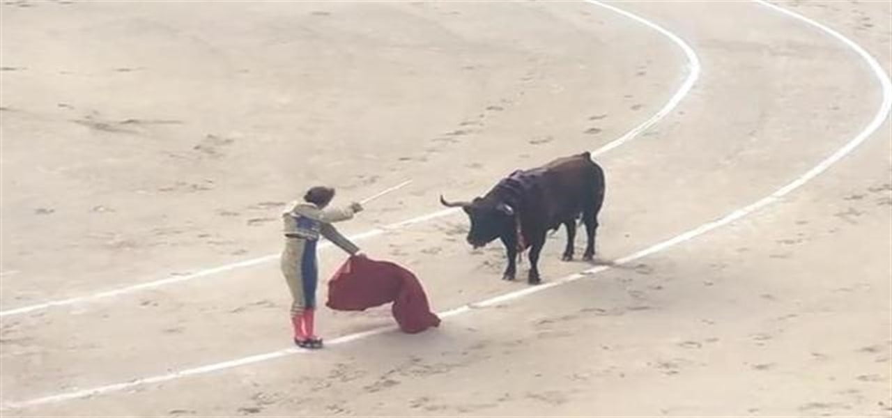 roman collado torero incornato