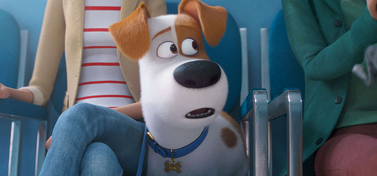 PETS2 film WEB1280