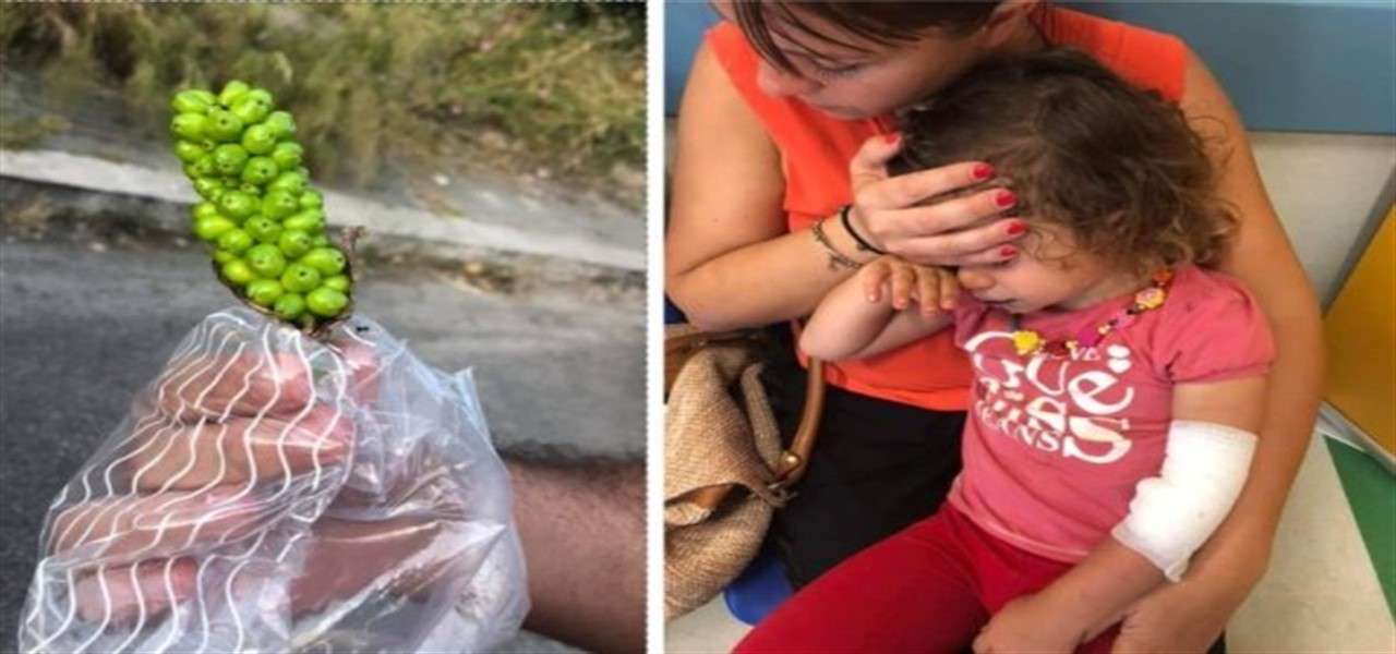 bambine avvelenate bacche roma facebook