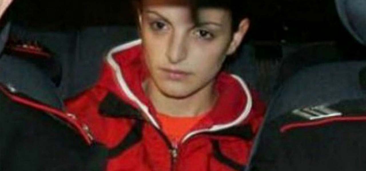 doina matei web