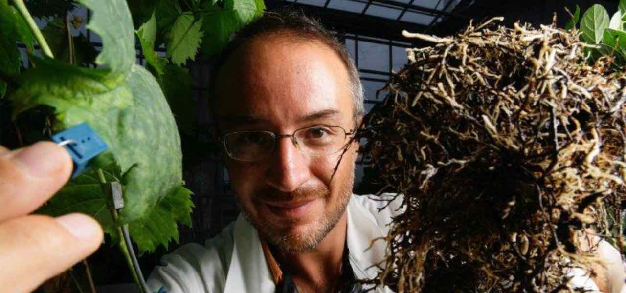 Stefano Mancuso a Ogni cosa è illuminata