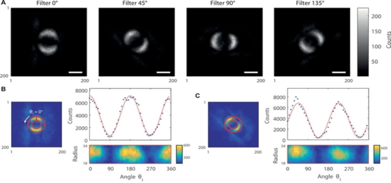 entanglement quantistico